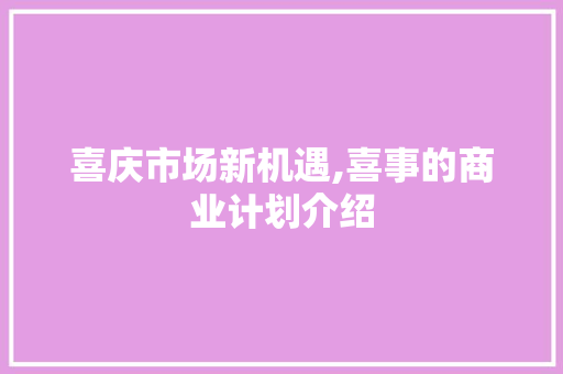 喜庆市场新机遇,喜事的商业计划介绍