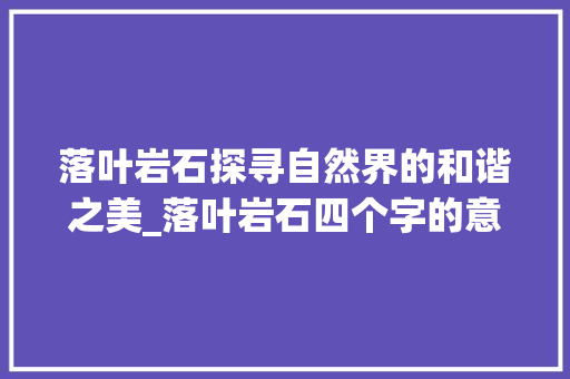 落叶岩石探寻自然界的和谐之美_落叶岩石四个字的意思