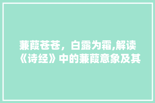 蒹葭苍苍，白露为霜,解读《诗经》中的蒹葭意象及其文化内涵_蒹葭字怎样读出来的意思