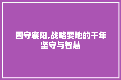 固守襄阳,战略要地的千年坚守与智慧 采访稿