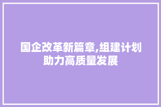 国企改革新篇章,组建计划助力高质量发展