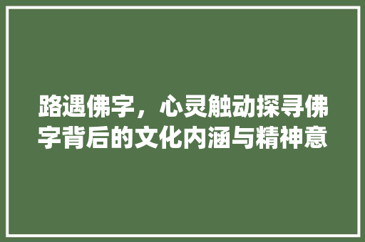 路遇佛字，心灵触动探寻佛字背后的文化内涵与精神意义_路上看见的佛字是什么意思