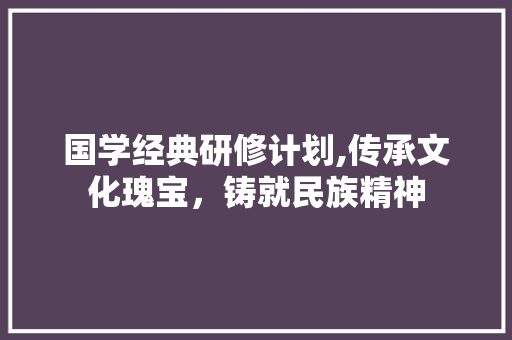 国学经典研修计划,传承文化瑰宝，铸就民族精神 商业文稿