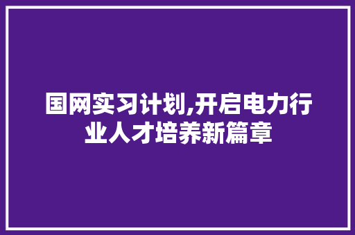 国网实习计划,开启电力行业人才培养新篇章