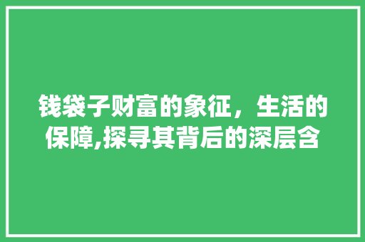 钱袋子财富的象征，生活的保障,探寻其背后的深层含义_钱袋子代表什么意思的字
