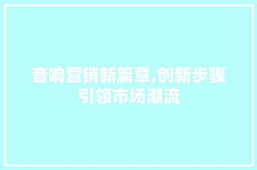 音响营销新篇章,创新步骤引领市场潮流