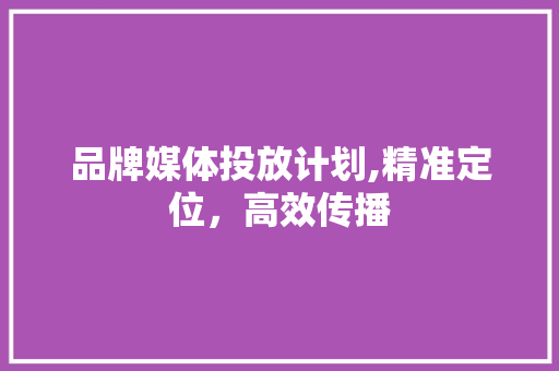品牌媒体投放计划,精准定位，高效传播
