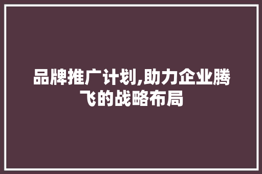 品牌推广计划,助力企业腾飞的战略布局
