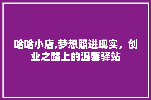 哈哈小店,梦想照进现实，创业之路上的温馨驿站