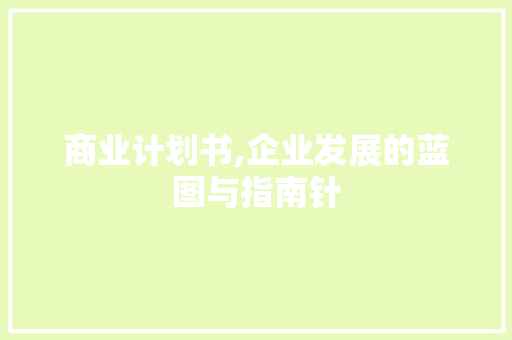商业计划书,企业发展的蓝图与指南针 生活类