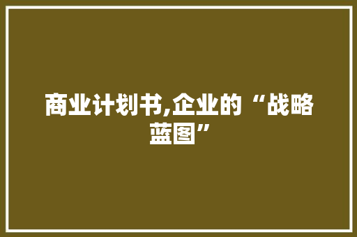 商业计划书,企业的“战略蓝图” 商业文稿