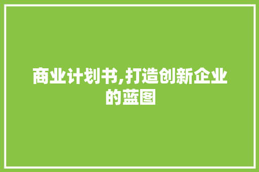 商业计划书,打造创新企业的蓝图 工作报告
