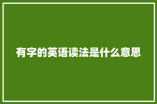有字的英语读法是什么意思