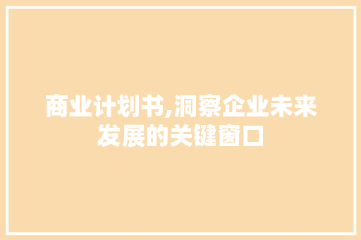商业计划书,洞察企业未来发展的关键窗口 采访稿