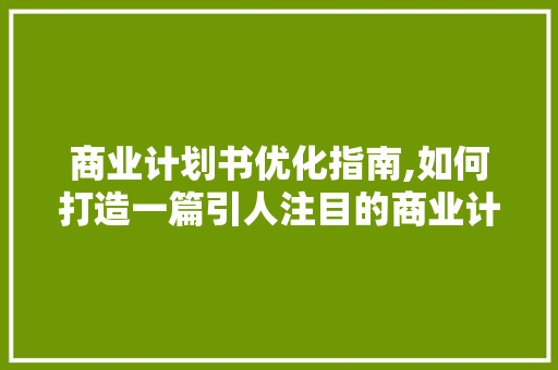 商业计划书优化指南,如何打造一篇引人注目的商业计划