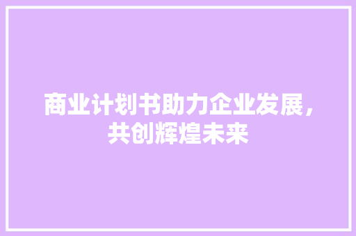 商业计划书助力企业发展，共创辉煌未来 工作报告