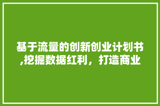 基于流量的创新创业计划书,挖掘数据红利，打造商业新模式