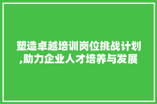 塑造卓越培训岗位挑战计划,助力企业人才培养与发展的新篇章