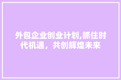 外包企业创业计划,抓住时代机遇，共创辉煌未来