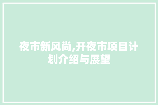 夜市新风尚,开夜市项目计划介绍与展望 采访稿