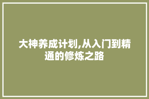 大神养成计划,从入门到精通的修炼之路 特写稿