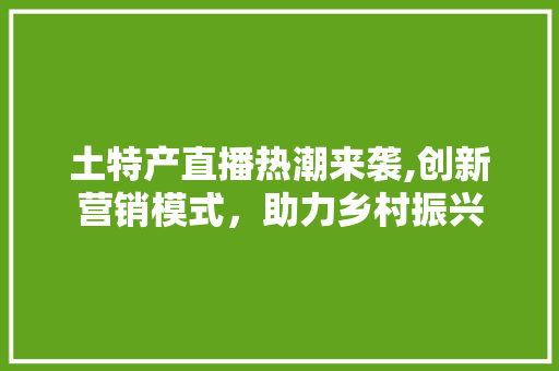 土特产直播热潮来袭,创新营销模式，助力乡村振兴