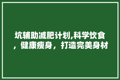 坑辅助减肥计划,科学饮食，健康瘦身，打造完美身材 工作总结