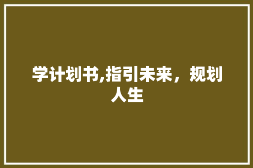 学计划书,指引未来，规划人生 工作报告