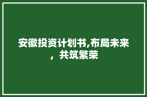 安徽投资计划书,布局未来，共筑繁荣