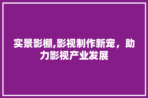 实景影棚,影视制作新宠，助力影视产业发展 工作总结