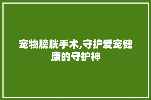 宠物膀胱手术,守护爱宠健康的守护神