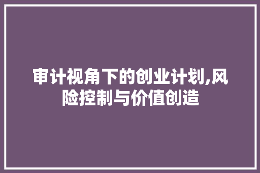 审计视角下的创业计划,风险控制与价值创造 工作报告