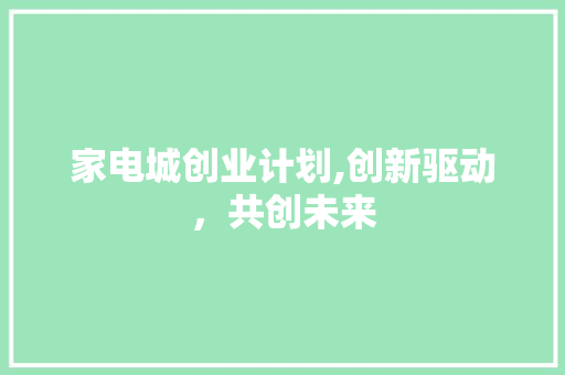 家电城创业计划,创新驱动，共创未来