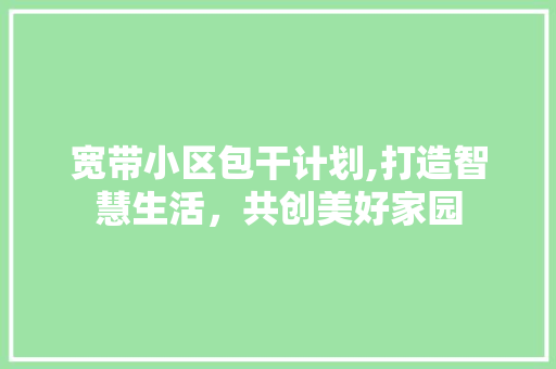宽带小区包干计划,打造智慧生活，共创美好家园
