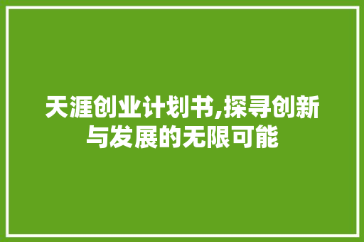 天涯创业计划书,探寻创新与发展的无限可能 生活类
