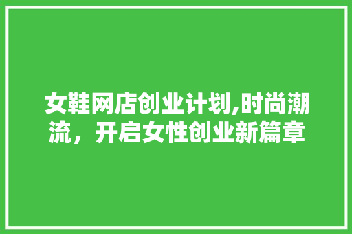 女鞋网店创业计划,时尚潮流，开启女性创业新篇章 工作总结