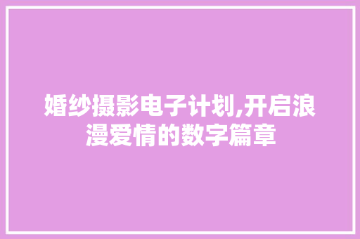婚纱摄影电子计划,开启浪漫爱情的数字篇章