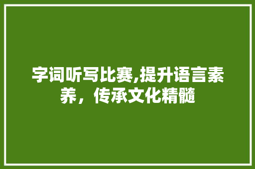 字词听写比赛,提升语言素养，传承文化精髓