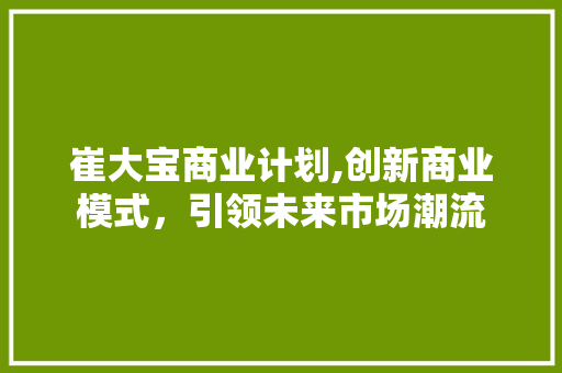 崔大宝商业计划,创新商业模式，引领未来市场潮流
