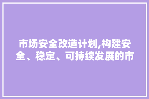 市场安全改造计划,构建安全、稳定、可持续发展的市场环境