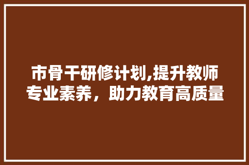 市骨干研修计划,提升教师专业素养，助力教育高质量发展