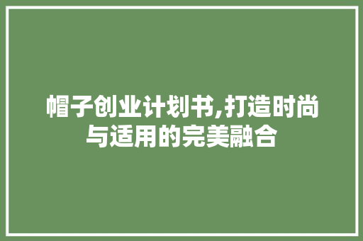 帽子创业计划书,打造时尚与适用的完美融合