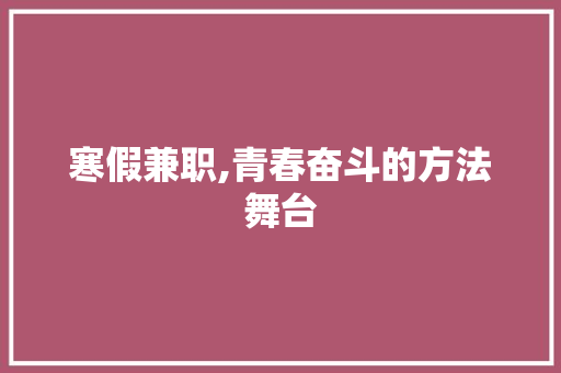 寒假兼职,青春奋斗的方法舞台