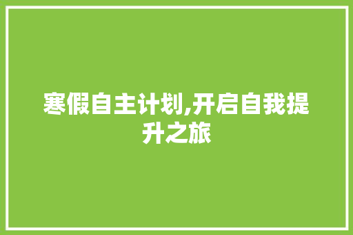 寒假自主计划,开启自我提升之旅