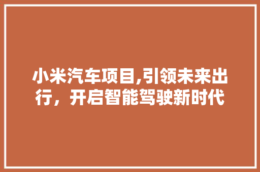 小米汽车项目,引领未来出行，开启智能驾驶新时代