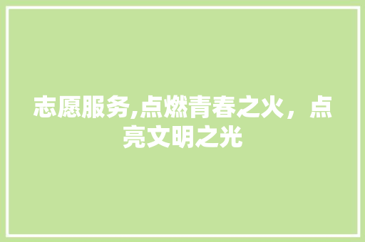 志愿服务,点燃青春之火，点亮文明之光