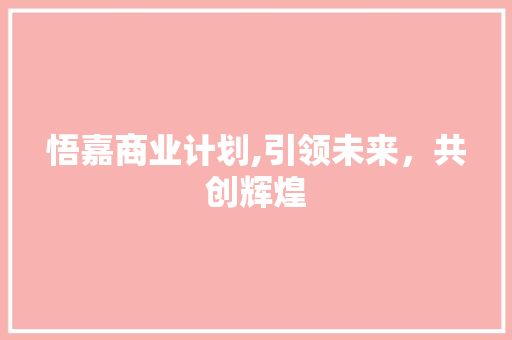 悟嘉商业计划,引领未来，共创辉煌 商业文稿