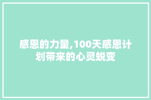 感恩的力量,100天感恩计划带来的心灵蜕变
