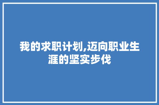 我的求职计划,迈向职业生涯的坚实步伐