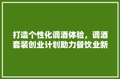 打造个性化调酒体验，调酒套装创业计划助力餐饮业新风口